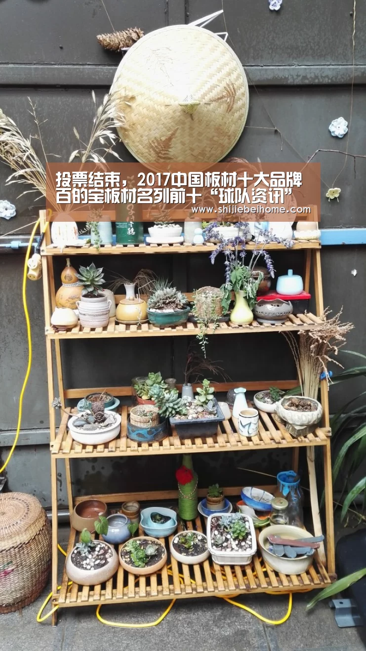 投票结束,2017中国板材十大品牌百的宝板材名列前十“球队资讯”(图1) 球队资讯