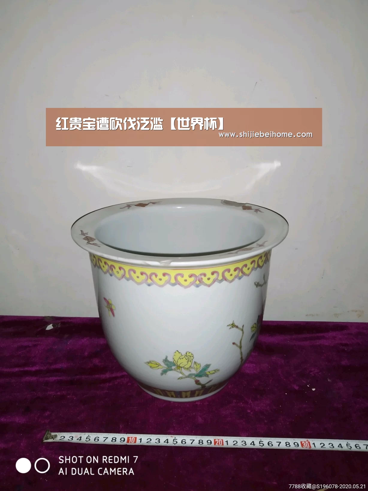红贵宝遭砍伐泛滥【世界杯】(图1) 球队资讯