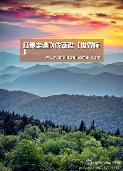 红贵宝遭砍伐泛滥【世界杯】(图2) 球队资讯