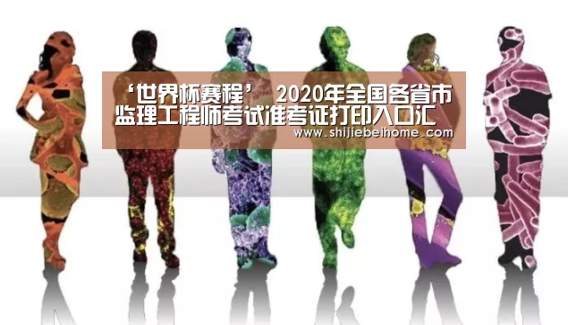 赛事新闻