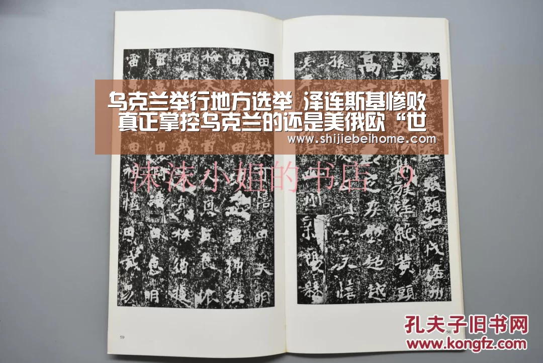 乌克兰举行地方选举 泽连斯基惨败 真正掌控乌克兰的还是美俄欧“世界杯”(图3) 球队资讯