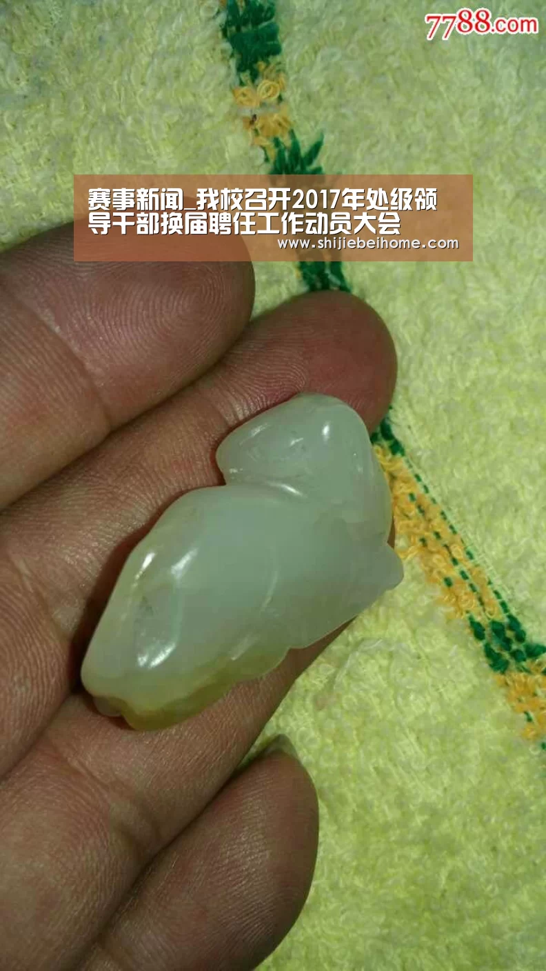 赛事新闻_我校召开2017年处级领导干部换届聘任工作动员大会(图2) 世界杯