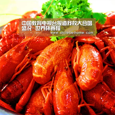 赛事新闻