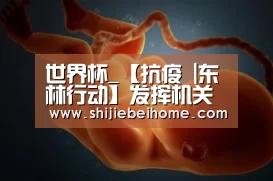 赛事新闻